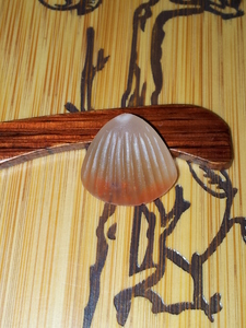 琪玉商城南红冰种樱桃红小贝壳挂件2.8克，冲钻特价！