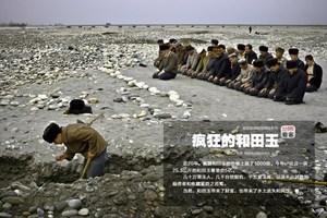 看客：疯狂的和田玉【21P】