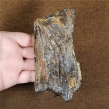 琪玉商城新疆早期地表纯天然戈壁玛瑙木化石小摆件354.3克