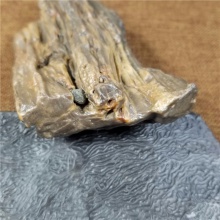 琪玉商城新疆早期地表纯天然戈壁玛瑙木化石小摆件354.3克