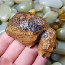 新疆大漠戈壁奇石玉化玛瑙玩料天然特色龙龟小摆件145克