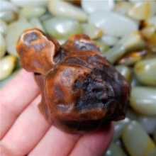新疆大漠戈壁奇石玉化玛瑙玩料天然特色龙龟小摆件142克