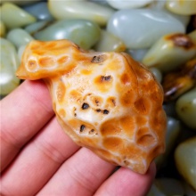 新疆大漠戈壁奇石玉化玛瑙玩料天然特色撒金皮龙龟小摆件58.8克