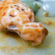 新疆大漠戈壁奇石玉化玛瑙玩料天然特色撒金皮龙龟小摆件58.8克