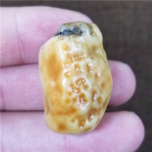 新疆大漠戈壁奇石玉化玛瑙特色金黄皮沙漠漆小金龟天然玩料19.6克