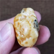 新疆大漠戈壁奇石玉化玛瑙特色金黄皮沙漠漆小金龟天然玩料19.6克