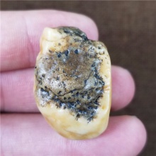 新疆大漠戈壁奇石玉化玛瑙特色金黄皮沙漠漆小金龟天然玩料19.6克