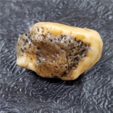 新疆大漠戈壁奇石玉化玛瑙特色金黄皮沙漠漆小金龟天然玩料19.6克