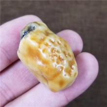 新疆大漠戈壁奇石玉化玛瑙特色金黄皮沙漠漆小金龟天然玩料19.6克