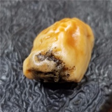 新疆大漠戈壁奇石玉化玛瑙特色金黄皮沙漠漆小金龟天然玩料19.6克